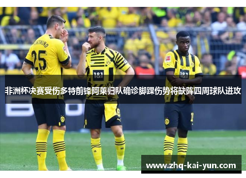 非洲杯决赛受伤多特前锋阿莱归队确诊脚踝伤势将缺阵四周球队进攻